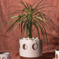 Solar Footed Pot Set of 8 By Accent Decor | Planters, Troughs & Cachepots | Modishstore - 1