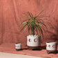 Solar Footed Pot Set of 8 By Accent Decor | Planters, Troughs & Cachepots | Modishstore - 3