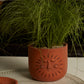 Soluna Collection Set of 8 By Accent Decor | Planters, Troughs & Cachepots | Modishstore - 1
