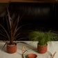 Soluna Collection Set of 8 By Accent Decor | Planters, Troughs & Cachepots | Modishstore - 4