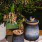 Songbird Canister Set of 4 By Accent DŽcor