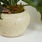 Soren Pot By Accent Decor | Wall Decor | Modishstore - 1