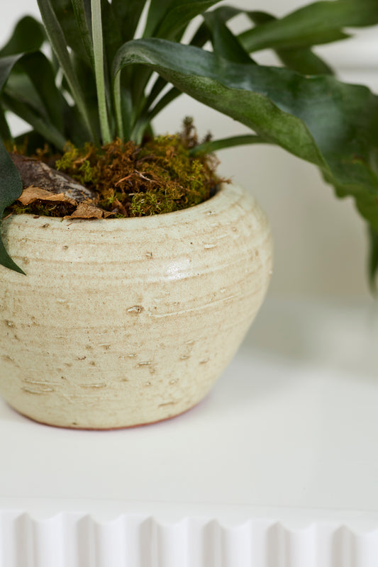 Soren Pot By Accent Decor | Wall Decor | Modishstore - 1