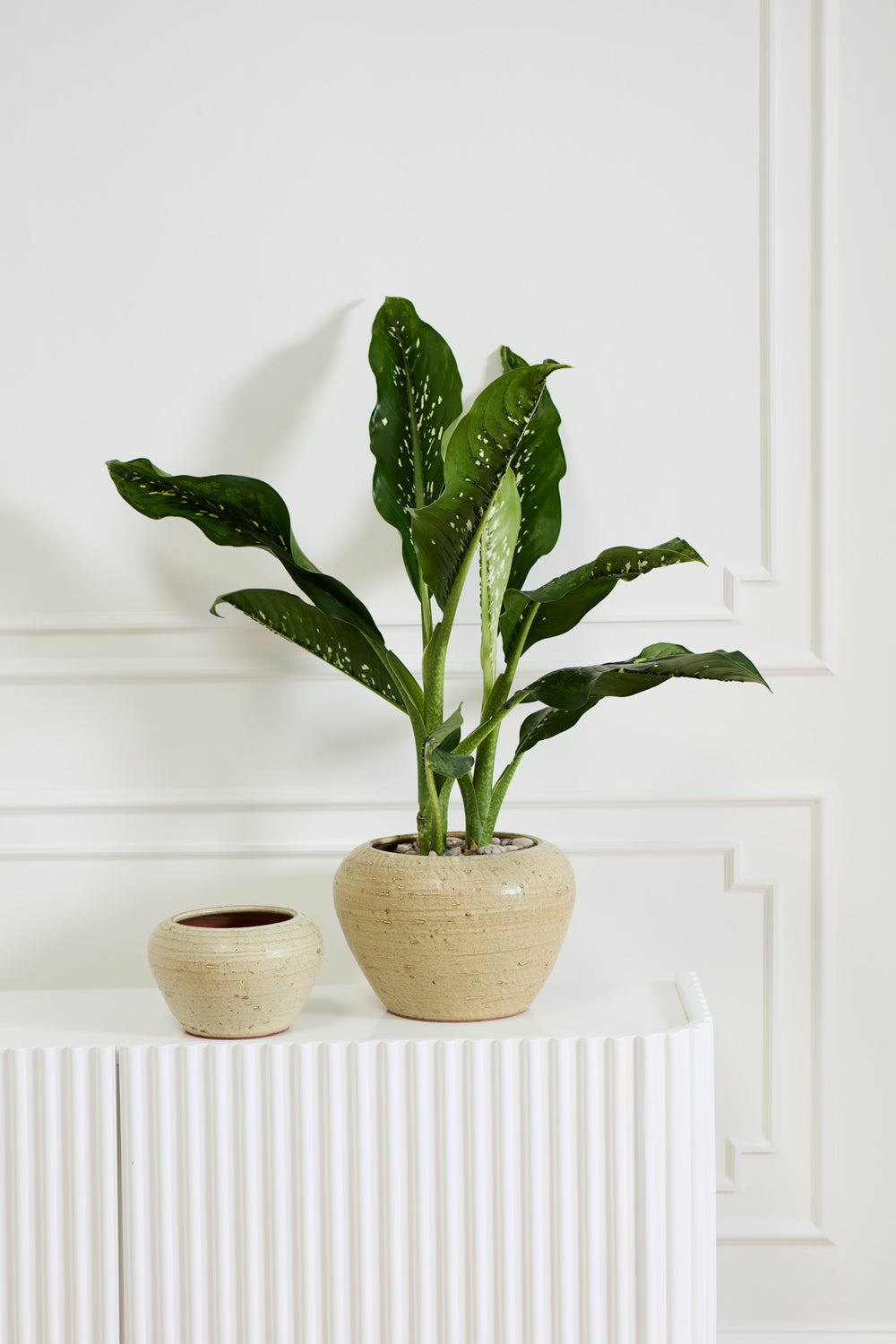 Soren Pot By Accent Decor | Wall Decor | Modishstore - 3