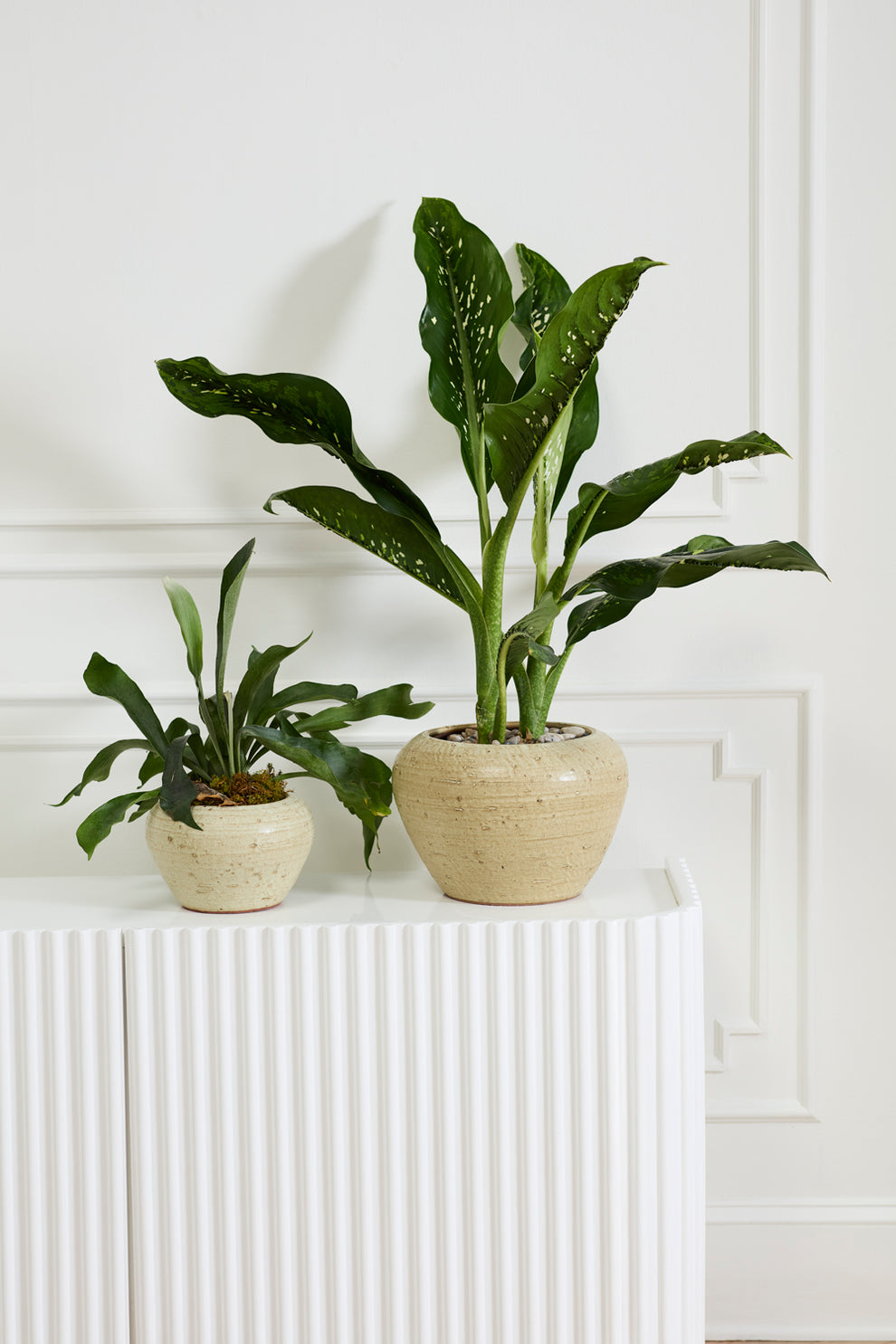 Soren Pot By Accent Decor | Wall Decor | Modishstore - 4