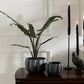 Spiced Pumpkin Pot Set of 4 By Accent Decor | Planters, Troughs & Cachepots | Modishstore - 5