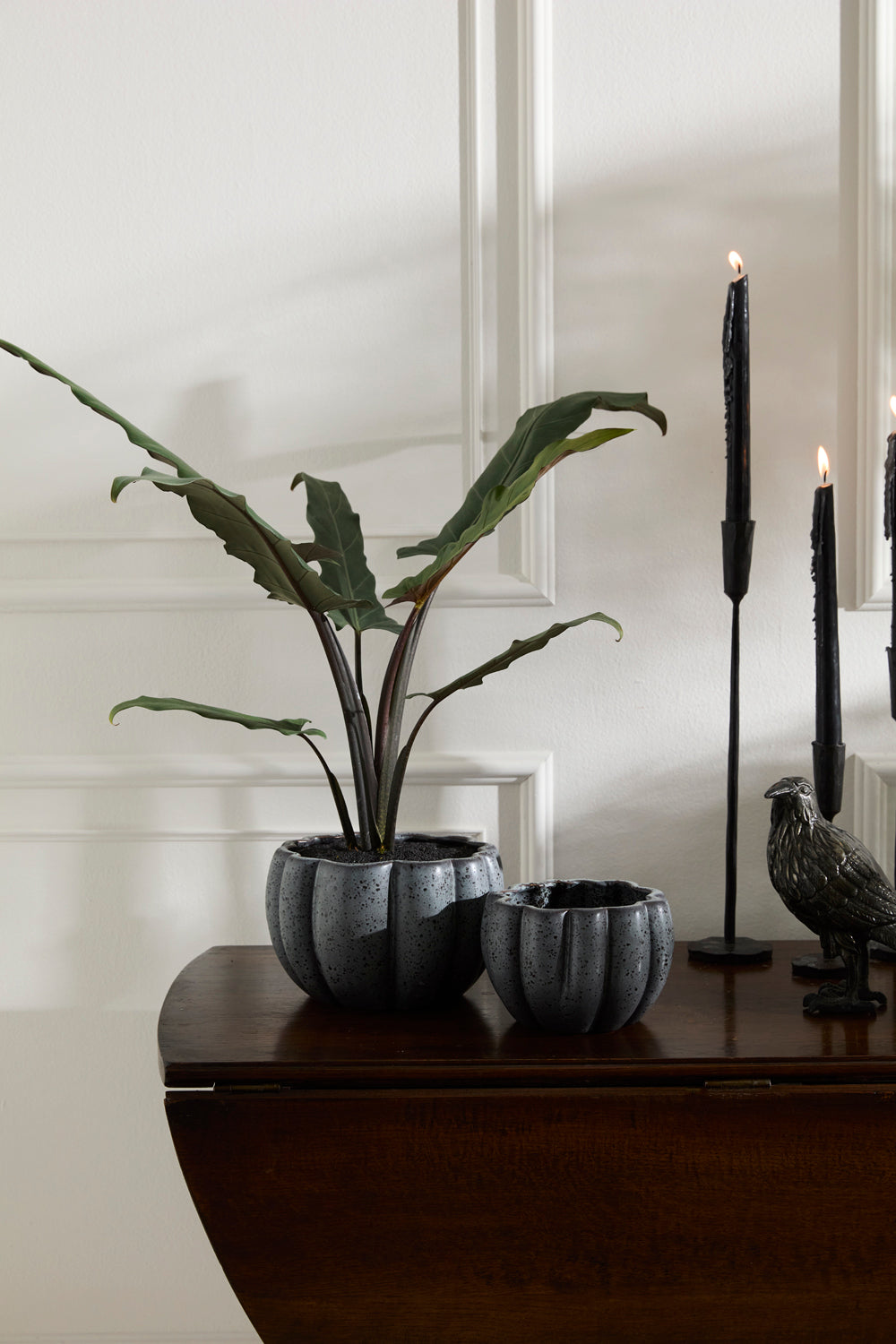 Spiced Pumpkin Pot Set of 4 By Accent Decor | Planters, Troughs & Cachepots | Modishstore - 5