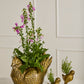 Spring Roost Collection Set of 4 By Accent Decor | Stands | Modishstore - 4