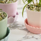Springvale Pot with Saucer Set of 4 By Accent Decor | Stands | Modishstore - 1
