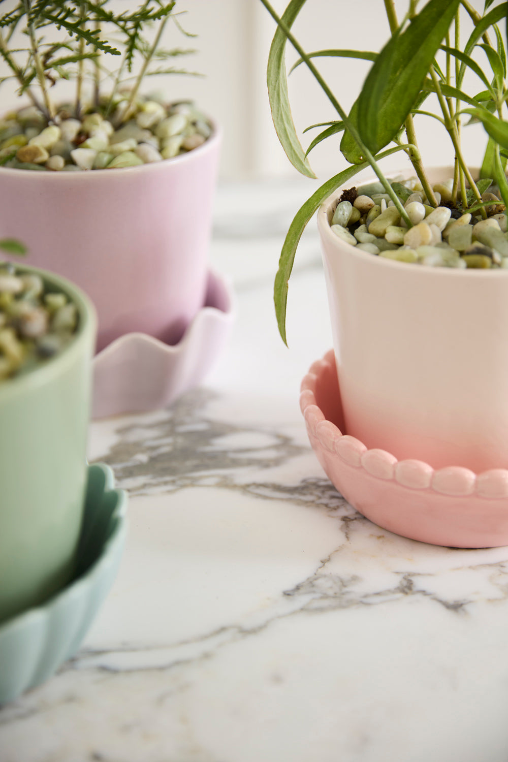 Springvale Pot with Saucer Set of 4 By Accent Decor | Stands | Modishstore - 1