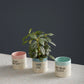 Spritz Easter Pot Set of 4 By Accent Decor | Planters, Troughs & Cachepots | Modishstore - 3
