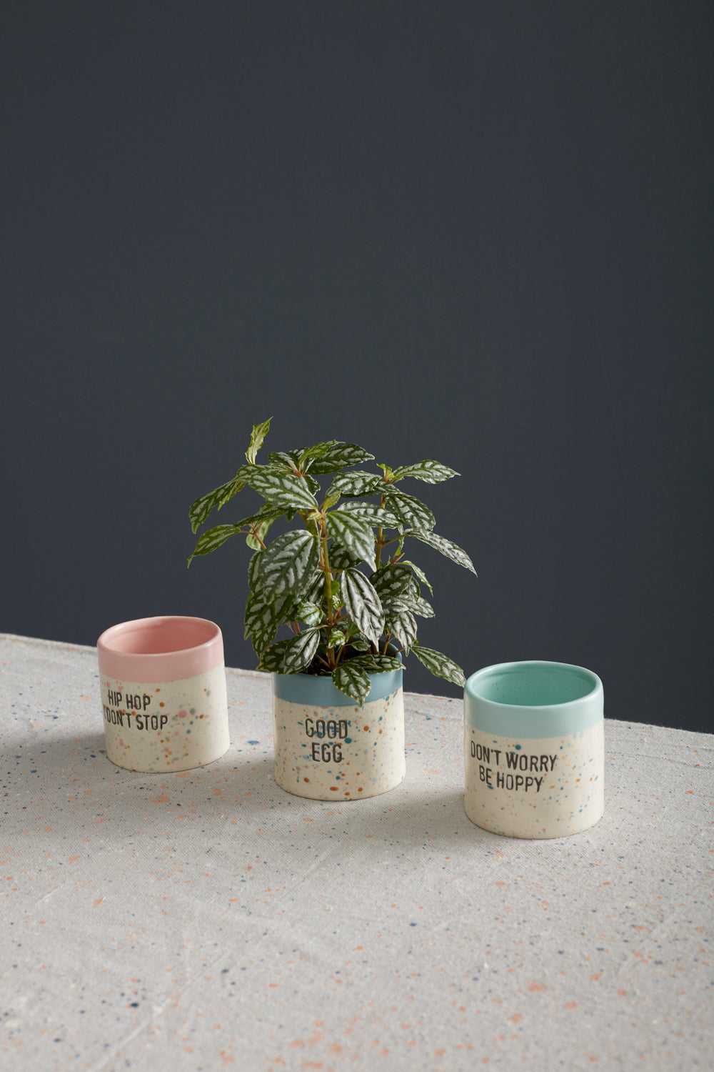 Spritz Easter Pot Set of 4 By Accent Decor | Planters, Troughs & Cachepots | Modishstore - 3