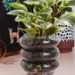 Stacked Rings Glass Pot with Saucer Set of 2 By Accent Decor | Planters, Troughs & Cachepots | Modishstore - 1