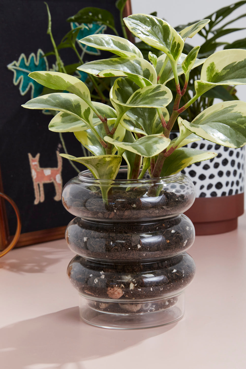 Stacked Rings Glass Pot with Saucer Set of 2 By Accent Decor | Planters, Troughs & Cachepots | Modishstore - 1