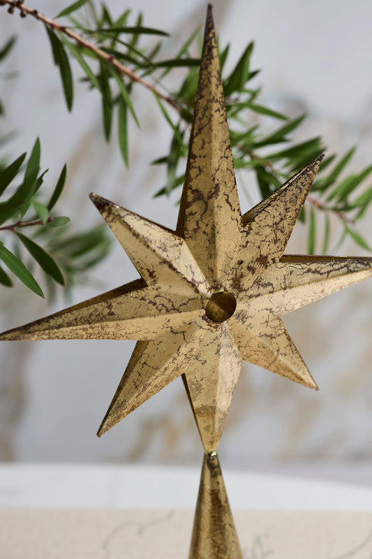 Starbright Decorative Object Set of 2 By Accent Decor | Planters, Troughs & Cachepots | Modishstore - 1