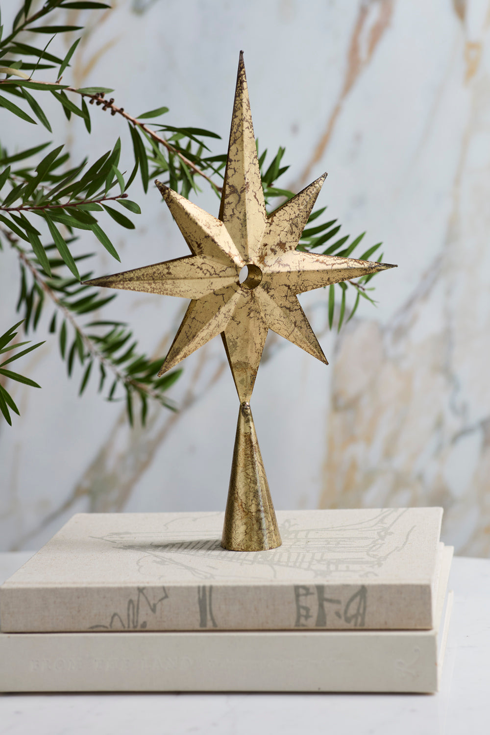 Starbright Decorative Object Set of 2 By Accent Decor | Planters, Troughs & Cachepots | Modishstore - 3