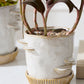 Stepped Mushroom Pot with Saucer Set of 2 By Accent Decor | Planters, Troughs & Cachepots | Modishstore - 2