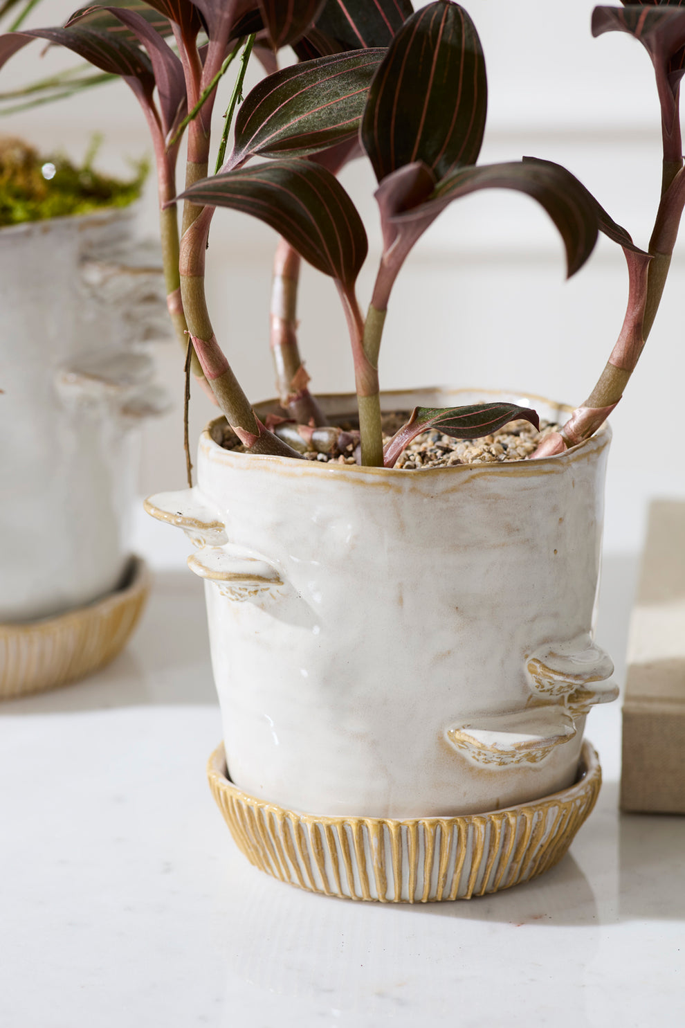 Stepped Mushroom Pot with Saucer Set of 2 By Accent Decor | Planters, Troughs & Cachepots | Modishstore - 2