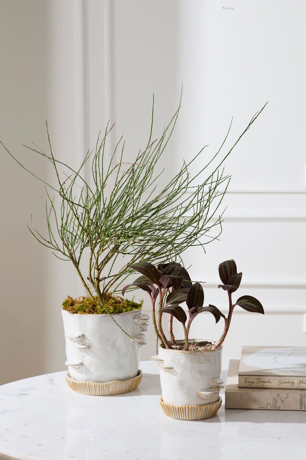 Stepped Mushroom Pot with Saucer Set of 2 By Accent Decor | Planters, Troughs & Cachepots | Modishstore - 6