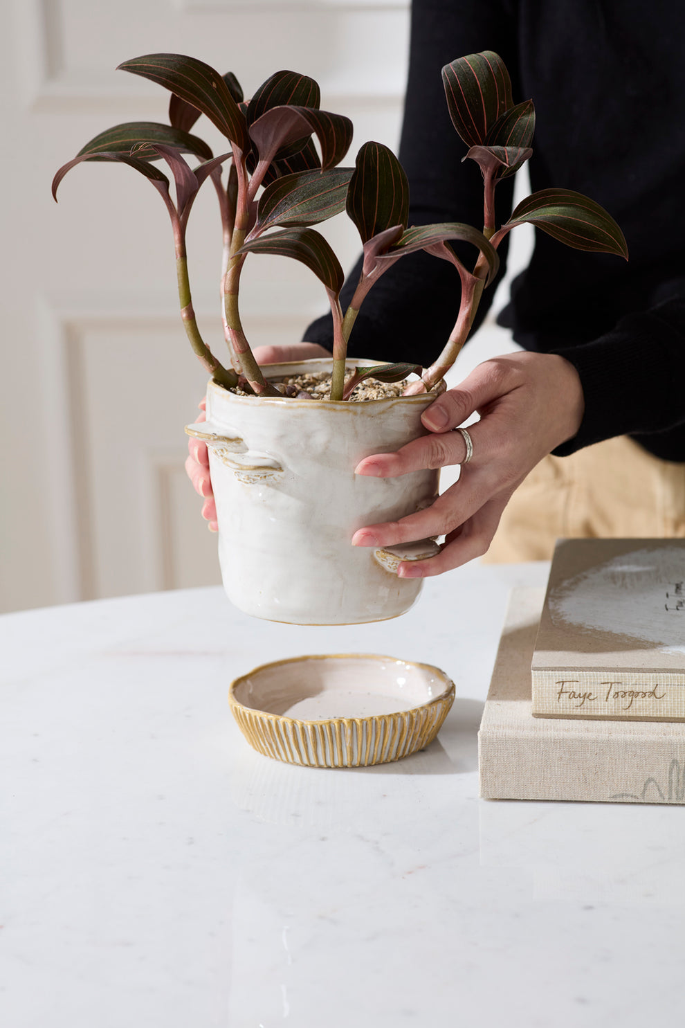 Stepped Mushroom Pot with Saucer Set of 2 By Accent Decor | Planters, Troughs & Cachepots | Modishstore - 4