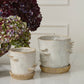 Stepped Mushroom Pot with Saucer Set of 2 By Accent Decor | Planters, Troughs & Cachepots | Modishstore - 5