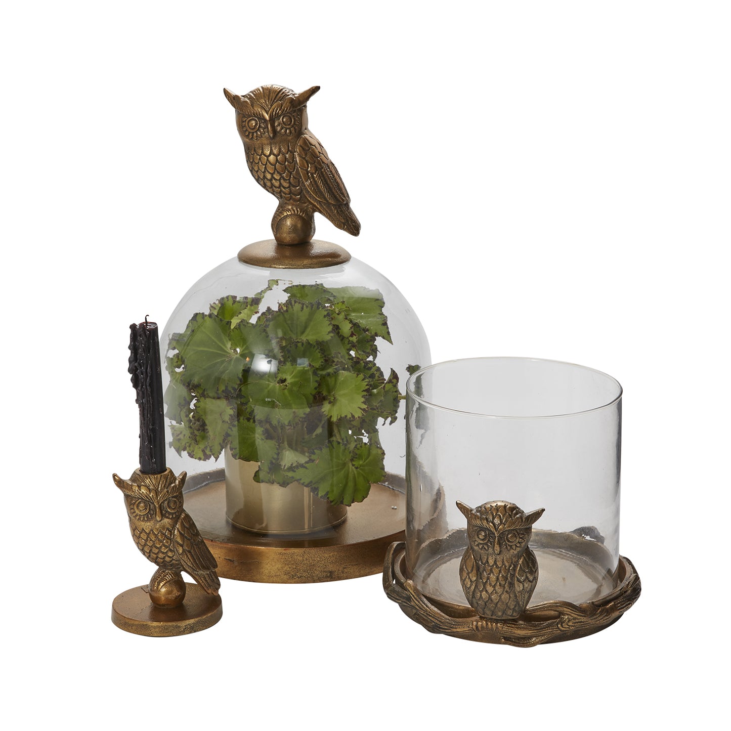 Strix Collection Set of 2 By Accent Decor | Candle Holders | Modishstore - 4