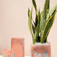 Sumi Collection Set of 4 By Accent Decor | Planters, Troughs & Cachepots | Modishstore - 1