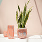 Sumi Collection Set of 4 By Accent Decor | Planters, Troughs & Cachepots | Modishstore - 3