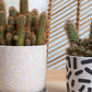 Sundae Pot Set of 4 By Accent Decor | Planters, Troughs & Cachepots | Modishstore - 1