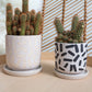 Sundae Pot Set of 4 By Accent Decor | Planters, Troughs & Cachepots | Modishstore - 3