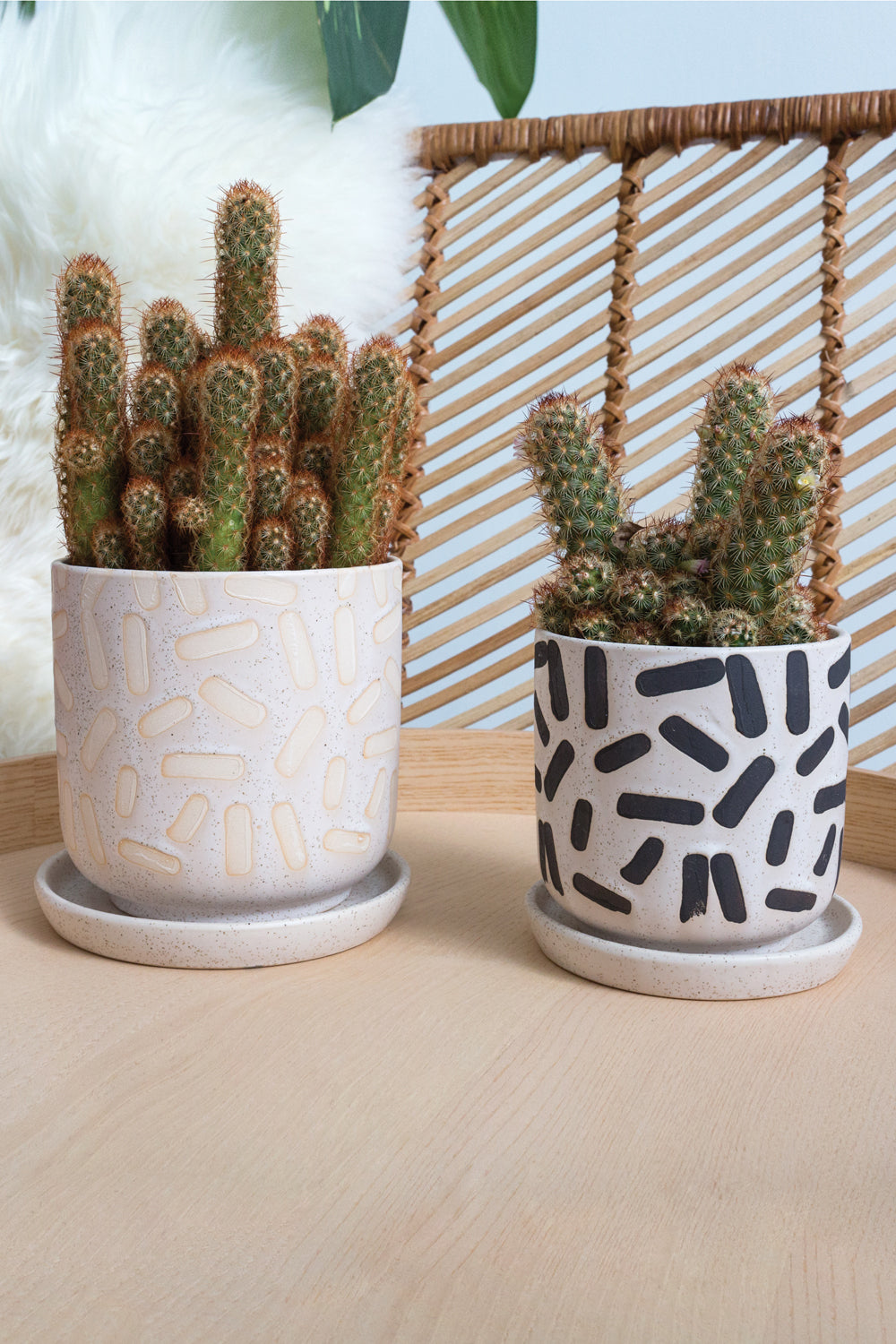 Sundae Pot Set of 4 By Accent Decor | Planters, Troughs & Cachepots | Modishstore - 3