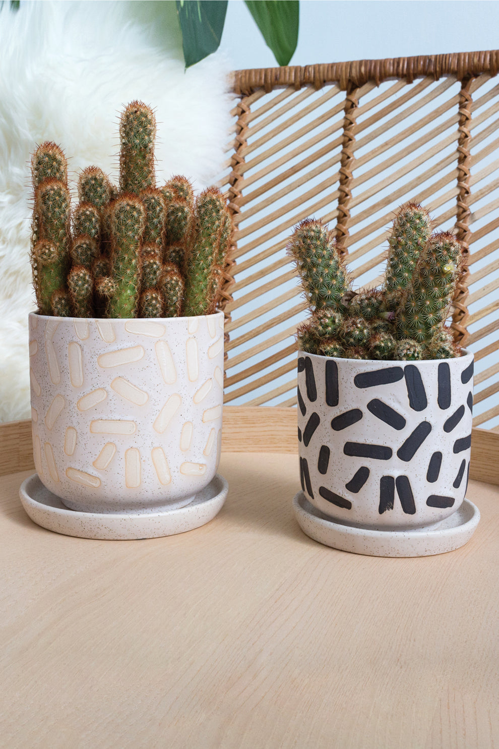 Sundae Pot Set of 4 By Accent Decor | Planters, Troughs & Cachepots | Modishstore - 3