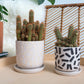 Sundae Pot Set of 4 By Accent Decor | Planters, Troughs & Cachepots | Modishstore - 4