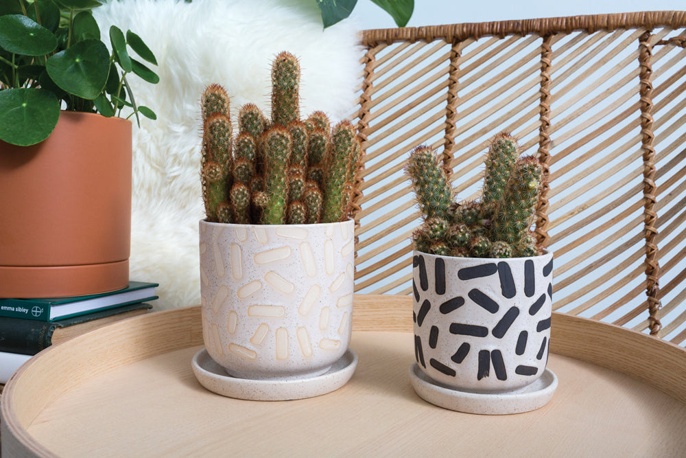 Sundae Pot Set of 4 By Accent Decor | Planters, Troughs & Cachepots | Modishstore - 4