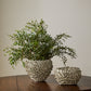 Surreal Collection By Accent Decor | Planters, Troughs & Cachepots | Modishstore - 6