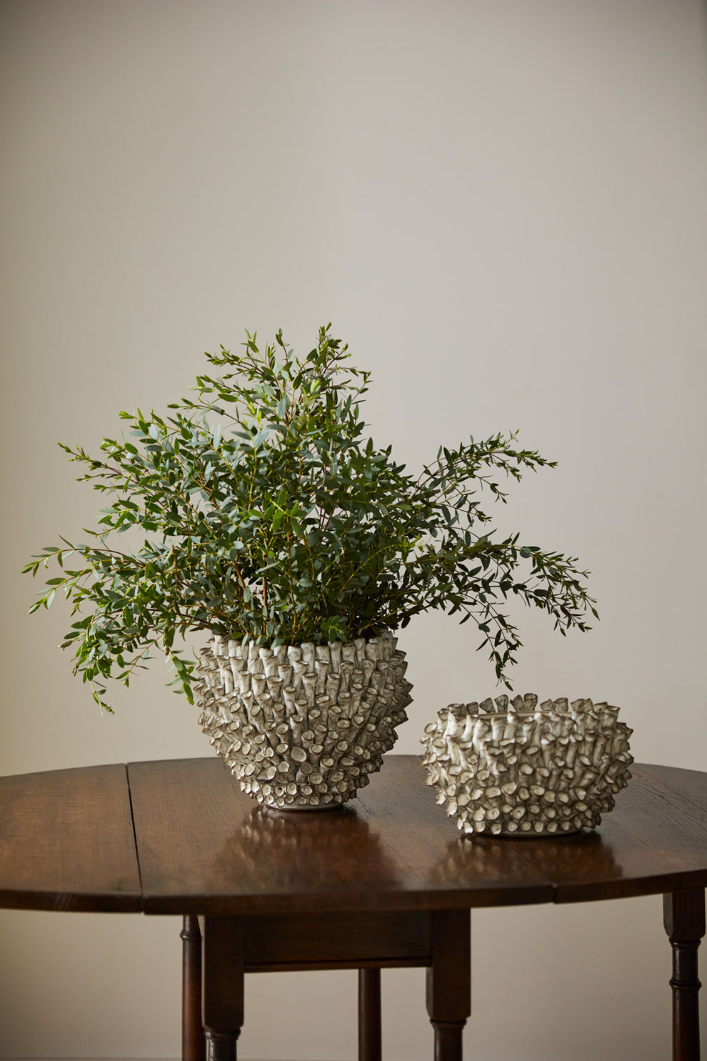 Surreal Collection By Accent Decor | Planters, Troughs & Cachepots | Modishstore - 6