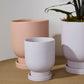 Tarrytown Pot with Saucer Set of 8 By Accent Decor | Planters, Troughs & Cachepots | Modishstore - 1