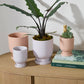 Tarrytown Pot with Saucer Set of 8 By Accent Decor | Planters, Troughs & Cachepots | Modishstore - 3