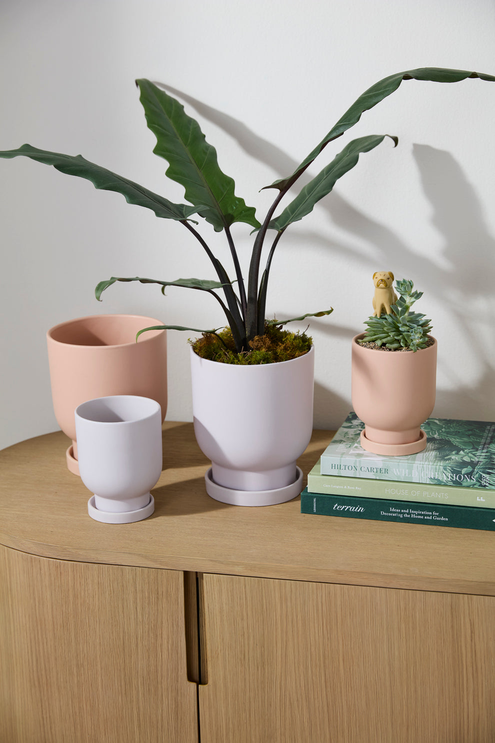 Tarrytown Pot with Saucer Set of 8 By Accent Decor | Planters, Troughs & Cachepots | Modishstore - 3