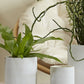 Triangles and Tatas Pot Set of 8 By Accent Decor | Planters, Troughs & Cachepots | Modishstore - 1