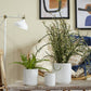 Triangles and Tatas Pot Set of 8 By Accent Decor | Planters, Troughs & Cachepots | Modishstore - 3