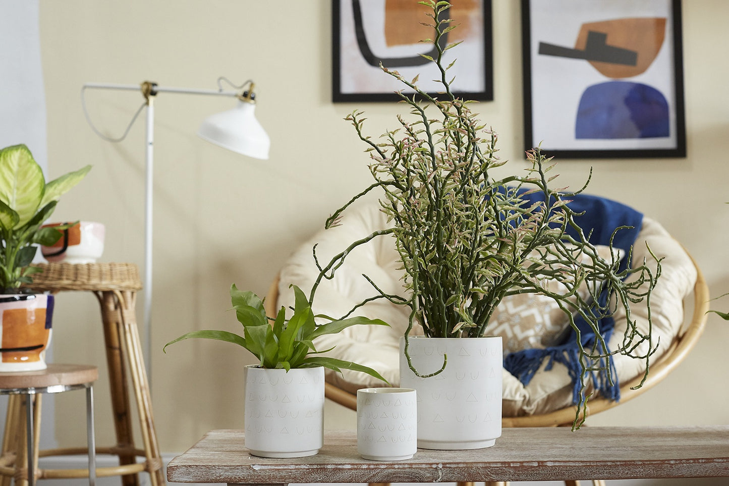Triangles and Tatas Pot Set of 8 By Accent Decor | Planters, Troughs & Cachepots | Modishstore - 3
