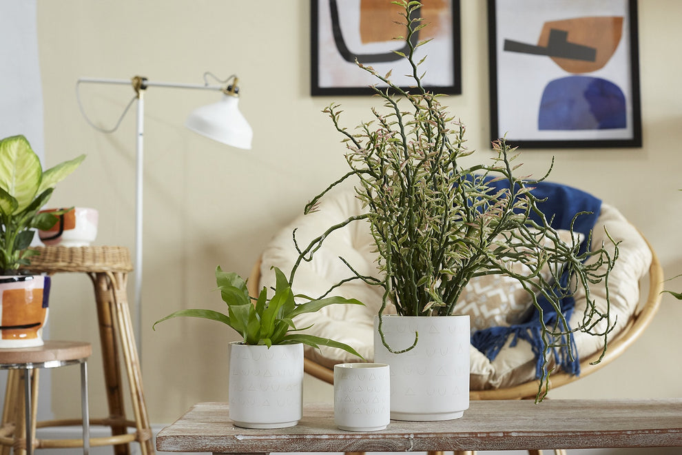 Triangles and Tatas Pot Set of 8 By Accent Decor | Planters, Troughs & Cachepots | Modishstore - 3