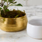Tegan Bowl Set of 8 By Accent Decor | Decorative Bowls | Modishstore - 1