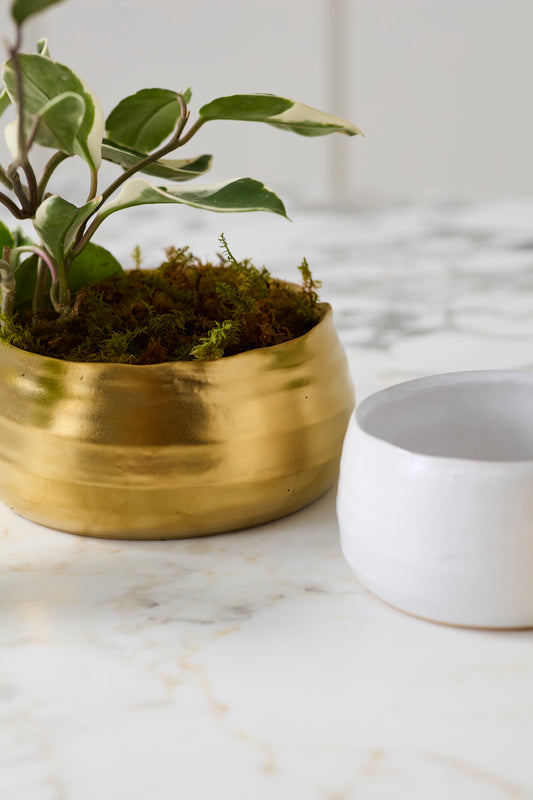 Tegan Bowl Set of 8 By Accent Decor | Decorative Bowls | Modishstore - 1