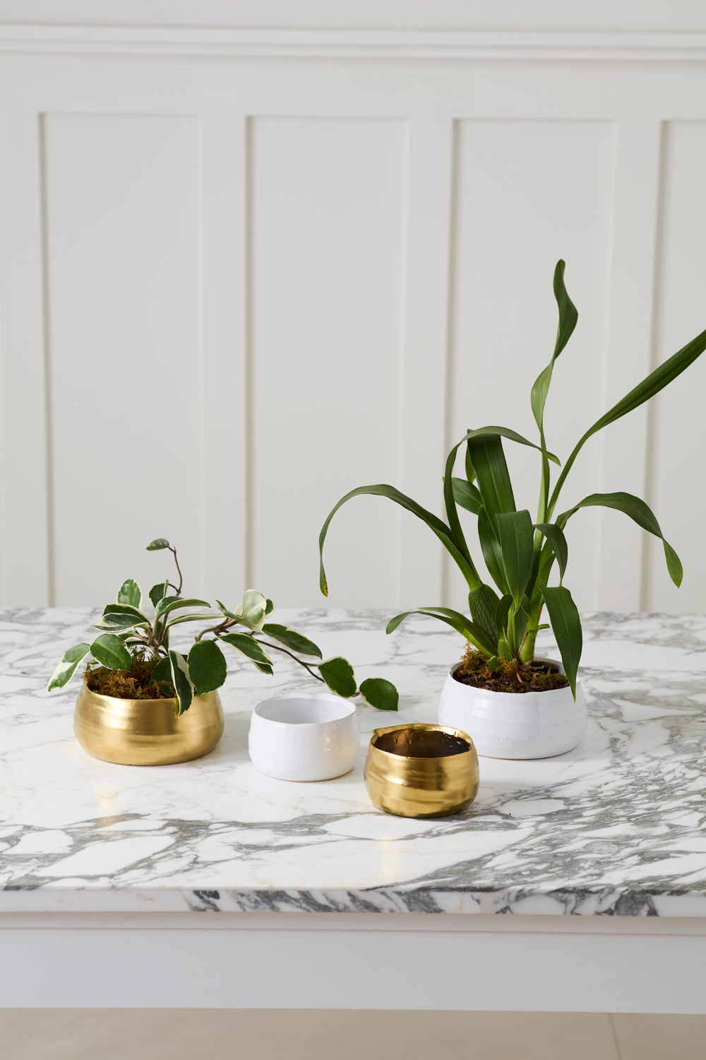 Tegan Bowl Set of 8 By Accent Decor | Decorative Bowls | Modishstore - 5