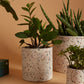 Terrazzo Collection Set of 8 By Accent Decor | Planters, Troughs & Cachepots | Modishstore - 3
