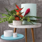 Terrazzo Collection Set of 8 By Accent Decor | Planters, Troughs & Cachepots | Modishstore - 4