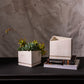 Tevy Pot Set of 2 By Accent Decor | Planters, Troughs & Cachepots | Modishstore - 1