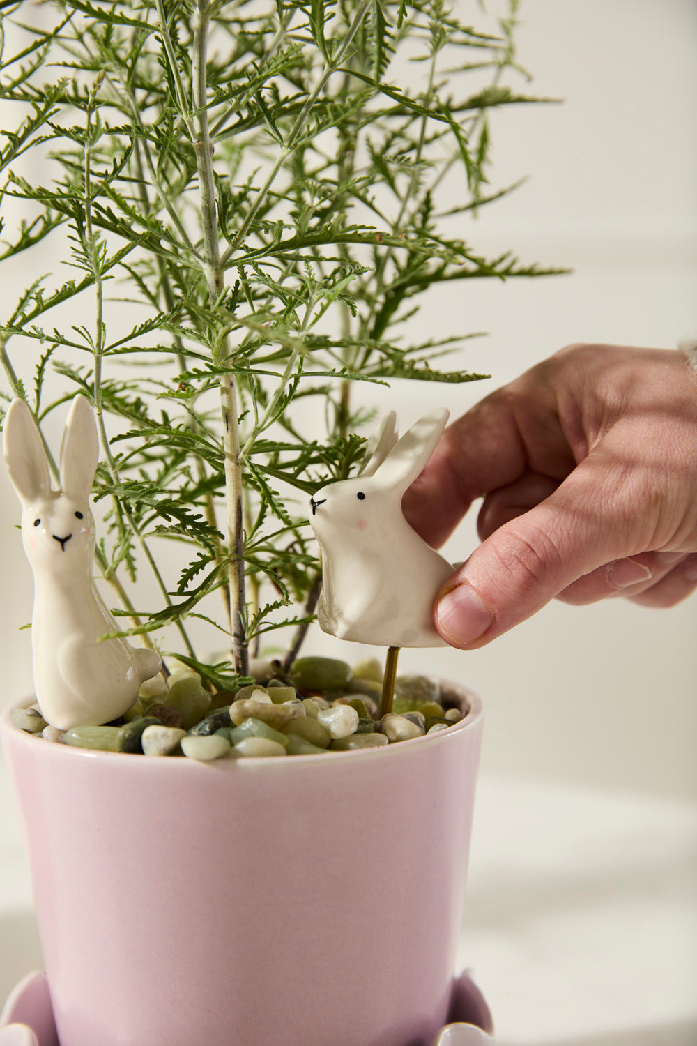Thumper Plant Sticks - Set of 6 By Accent DŽcor